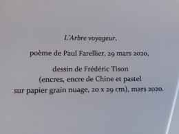 L'arbre voyageur (3).jpg
