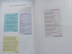 poésie première,poésie première numéro 87,frédéric tison