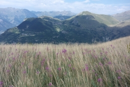 frédéric tison,photographie,le pied moutet