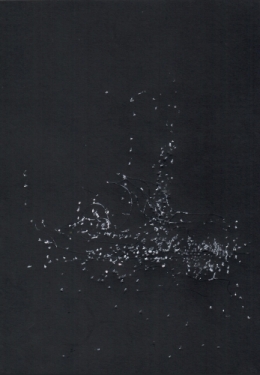 la constellation du navire absent.jpg