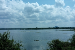 1. Sri Lanka - lac de Tissa.JPG