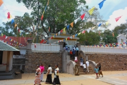 4. Arbre de Bhô.jpg