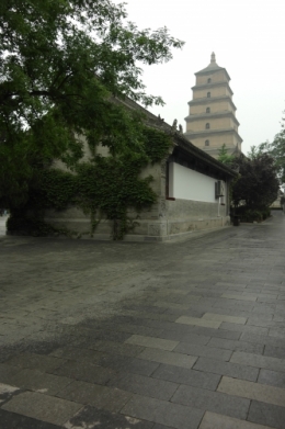 chine,xi'an,frédéric tison,photographie,grande pagode de l'oie sauvage