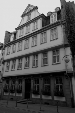 Goethehaus 1 - NB.jpg
