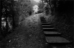 DSC_1741 b NB encadré.jpg