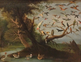 DSC_8317 b l'arbre aux oiseaux.jpg