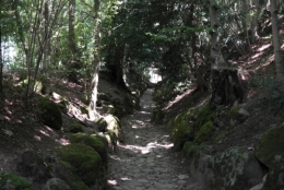 frédéric tison,hohle gasse,chemin creux,chapelle de tell