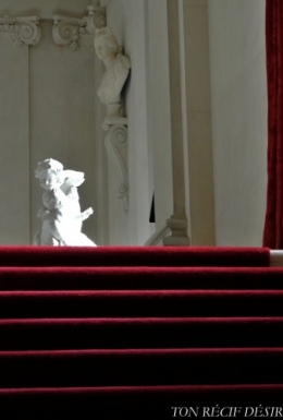 DSC_8150 b Champs TRD.jpg