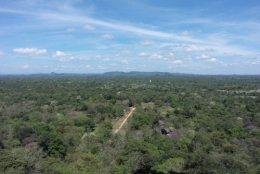  frédéric tison, photographie, sri lanka, sigirîya, rocher du lion