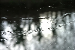 DSC_9966 b encadrée.jpg