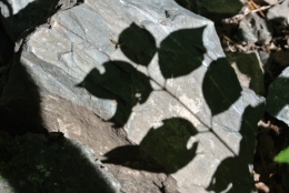 Voie romaine DSC_2661.JPG