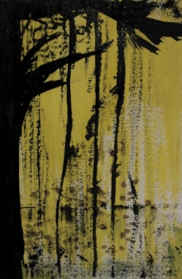 frédéric tison,ombres jaunes,encre de chine,gouache