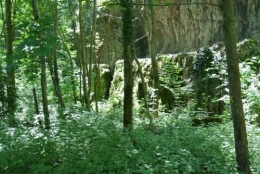 frédéric tison,photographie,voie romaine,les sables,bourg d'oisans,isère