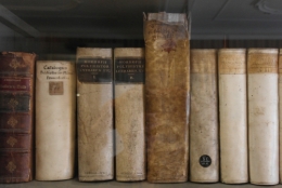 Goethehaus 4 - bibliothèque.jpg