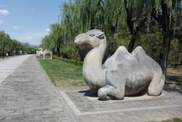  frédéric tison, photographie, chine, tombeaux des ming, voie des esprits