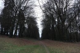 frédéric tison,photographie,domaine de kerguéhennec