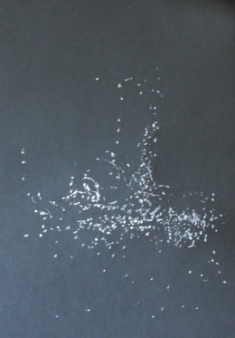 La constellation du navire absent.JPG