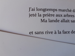 L'arbre voyageur (4).jpg