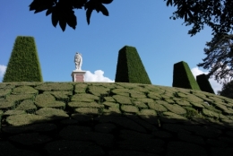 frédéric tison, photographie, château de breteuil,mosaïque de buis