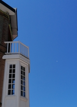 IMG_20220708_131925 b.jpg