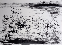 Les reflets noirs.jpg