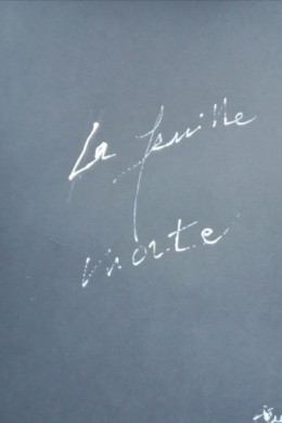 frédéric tison,photographie,bassin de scylla,château de champs,feuille