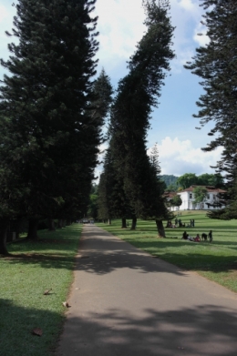 Peradeniya 2.jpg