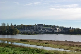 DSC_6929 b Amboise.jpg