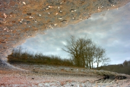 Frédéric Tison - étang de la Ganne 2 - XII-2015.jpg