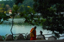 Kandy - Le moine et le singe.jpg