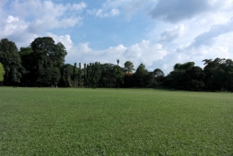Peradeniya 11.jpg