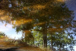 frédéric tison,photographie,étang de la ganne