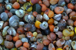 frédéric tison,photographie,Pointe de Penmarc'h