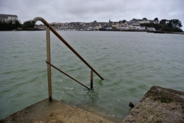 DSC_8490 b approfondir.jpg