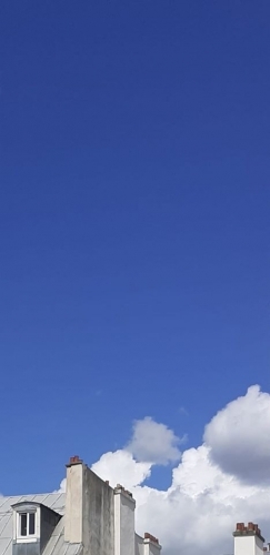 Toits ou la grande fête du bleu.jpg