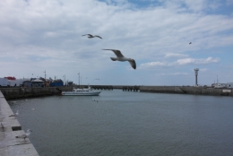 frédéric tison,photographie,avant-port,le tréport
