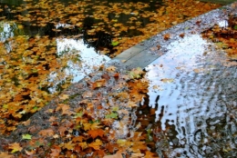 frédéric tison,photographie,fontaine médicis,reflets