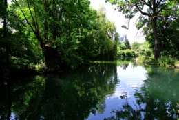 frédéric tison, photographie,Marais de l'Yèvre et de la Voiselle,bourges,cathédrale saint-Étienne