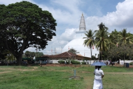 9. Ruvenvelisaya 2.jpg