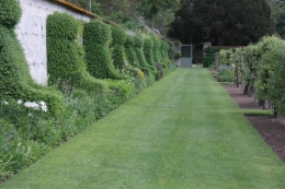 frédéric tison,photographie,jardin potager du château de saint-jean de beauregard