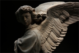 frédéric tison,photographie,ange volant