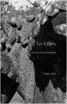 Les Effigies un carnet de photographies - Frédéric Tison - 2013 - b.jpg