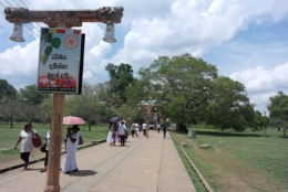 3. Vers l'arbre de Bhô.JPG