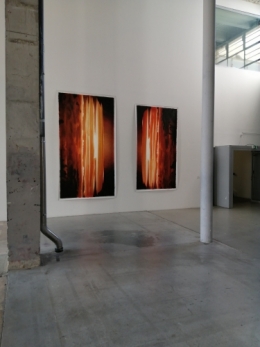 frédéric tison,photographie,anne imhof,natures mortes