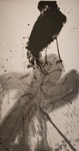 20230228_124950 b.jpg