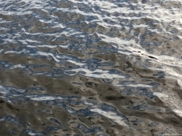 IMG_20201230_150756 b RTD.jpg