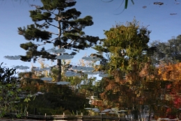 Jardin Albert-Kahn 9.JPG