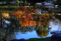 Jardin Albert-Kahn 7.JPG