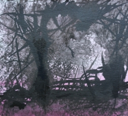Forêt noire et rose - 2019.jpg
