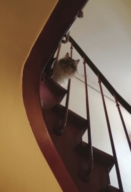 288282033_5629289140414722_1696131521797855263_n b.jpg